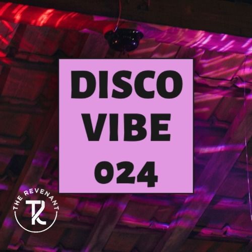 Buy EDM Ghost Production track - Disco Vibe 024