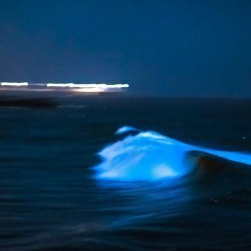 Buy EDM Ghost Production track - Wave