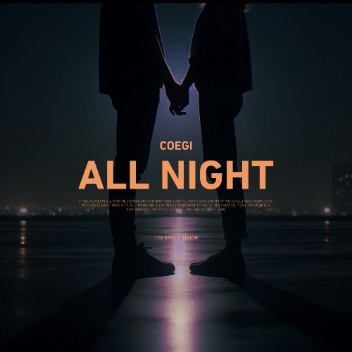 Buy EDM Ghost Production track - All Night