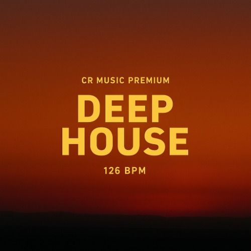 Buy EDM Ghost Production track - Bruised