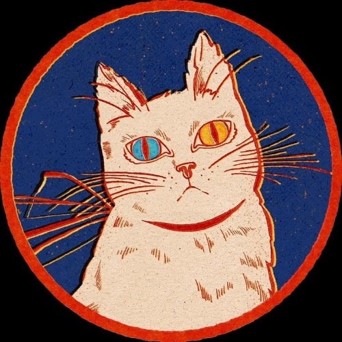 Buy EDM Ghost Production track - No Sleep