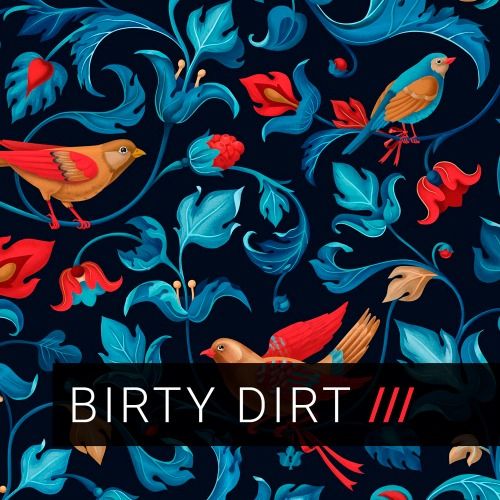Buy EDM Ghost Production track - Birty Dirt