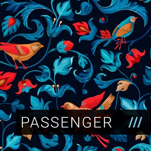 Buy EDM Ghost Production track - Passenger