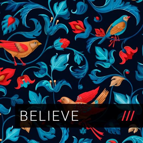 Buy EDM Ghost Production track - Believe