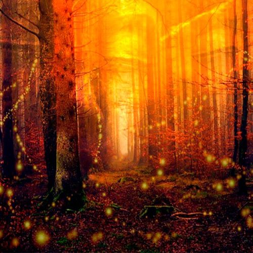 Buy EDM Ghost Production track - Sparkles