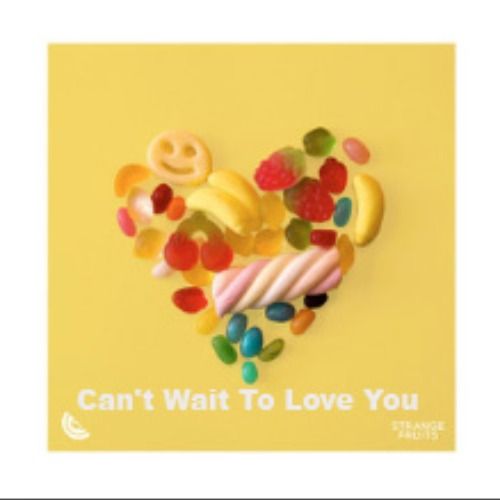 Buy EDM Ghost Production track - Can't Wait To Love You