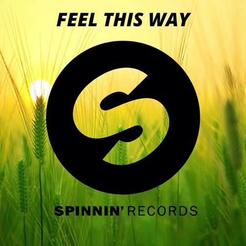 Buy EDM Ghost Production track - Feel This Way