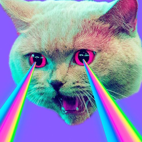 Buy EDM Ghost Production track - YEAH