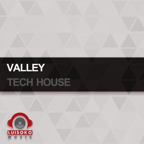 Buy EDM Ghost Production track - VALLEY