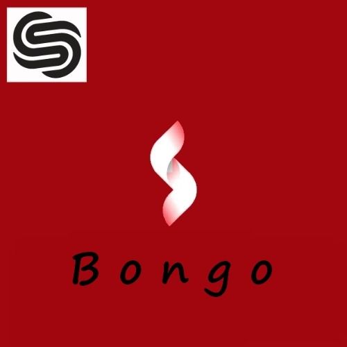 Buy EDM Ghost Production track - Bongo (Melodic House)