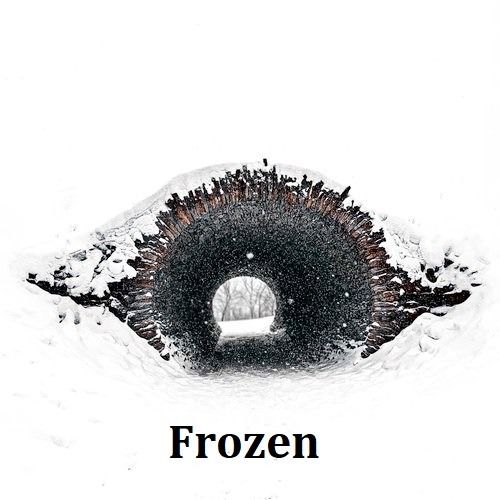 Buy EDM Ghost Production track - Frozen