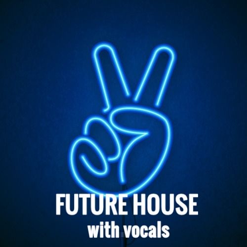 Buy EDM Ghost Production track - Nobody