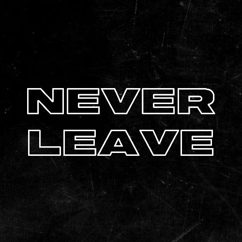 Buy EDM Ghost Production track - Never Leave