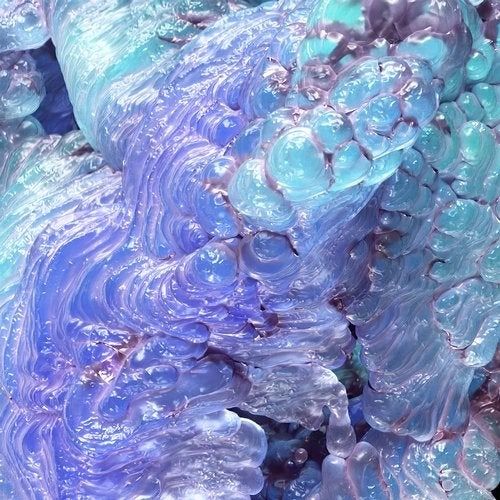 Buy EDM Ghost Production track - Sorted Arrays