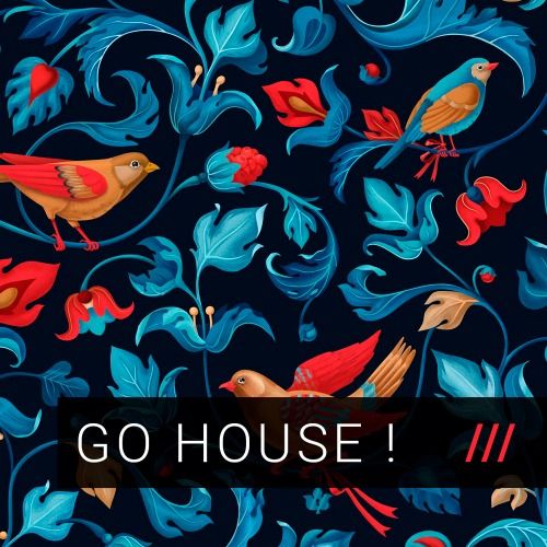 Buy EDM Ghost Production track - Go House