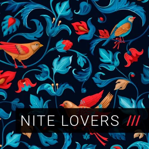 Buy EDM Ghost Production track - Nite Lovers