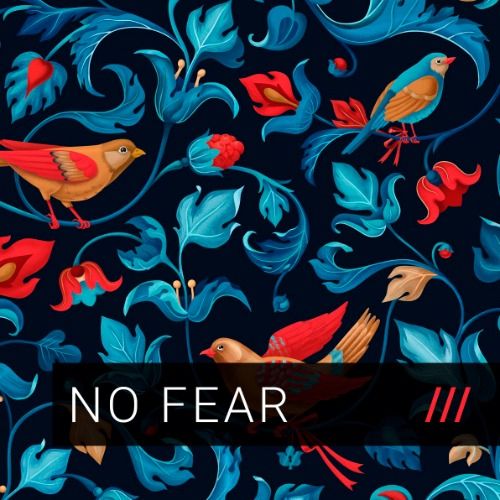 Buy EDM Ghost Production track - No Fear