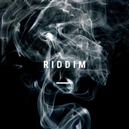 Buy EDM Ghost Production track - Riddim