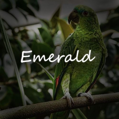 Buy EDM Ghost Production track - Emerald [kygo style]