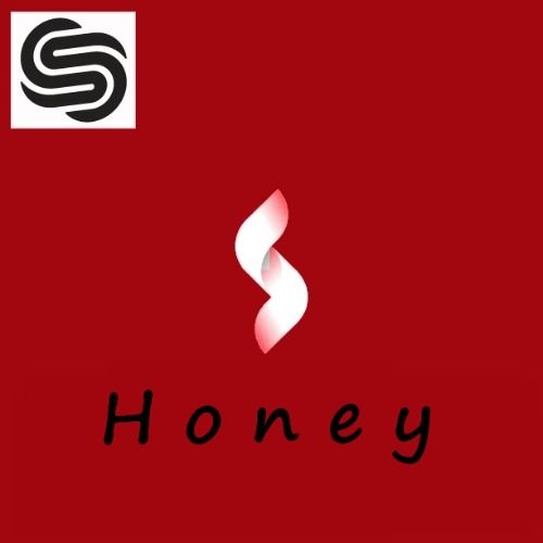 Buy EDM Ghost Production track - Honey (House)