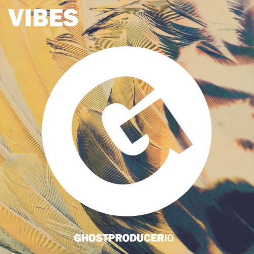 Buy EDM Ghost Production track - Vibes