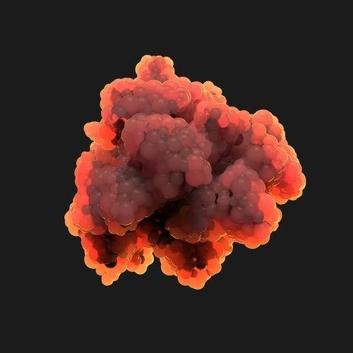 Buy EDM Ghost Production track - Echo