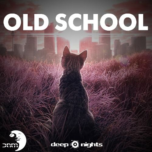 Buy EDM Ghost Production track - Old School
