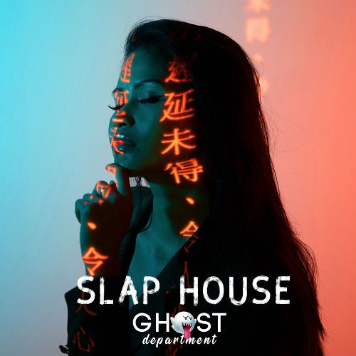 Buy EDM Ghost Production track - Sky