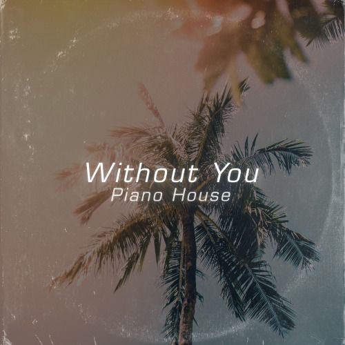 Buy EDM Ghost Production track - Without You