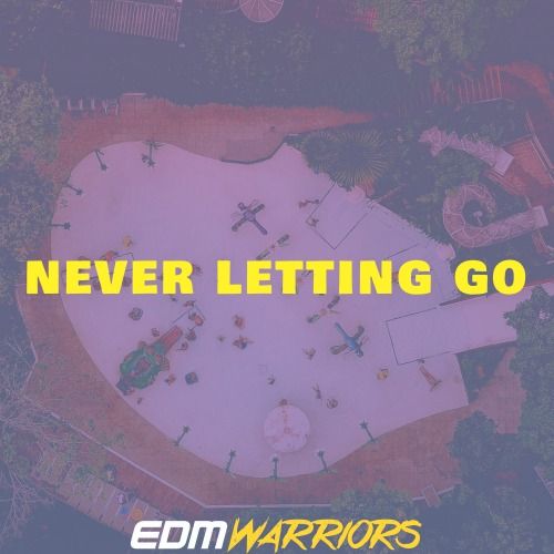 Buy EDM Ghost Production track - Never Letting Go