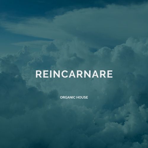 Buy EDM Ghost Production track - Reincarnare