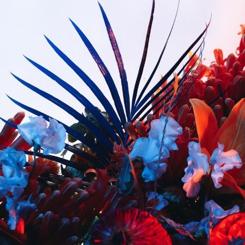 Buy EDM Ghost Production track - Glitter