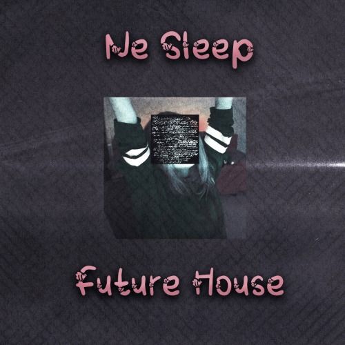 Buy EDM Ghost Production track - Ne Sleep