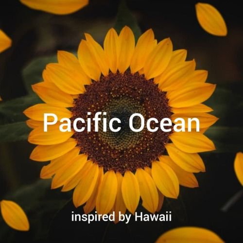 Buy EDM Ghost Production track - Pacific Ocean