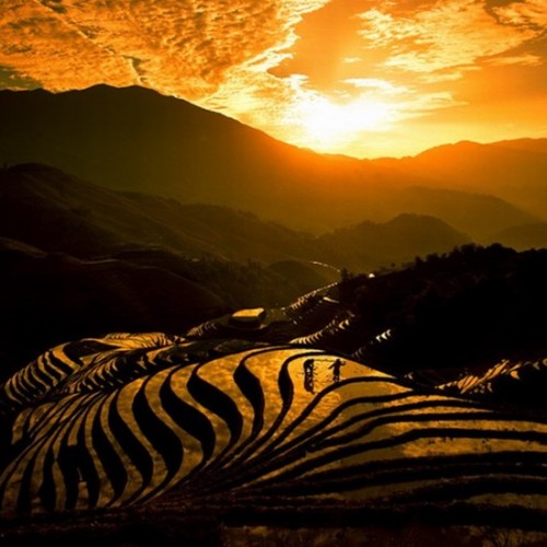 Buy EDM Ghost Production track - Mantra