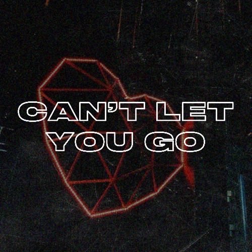 Buy EDM Ghost Production track - Can't Let You Go
