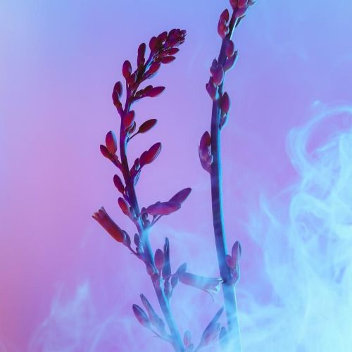 Buy EDM Ghost Production track - Frozen