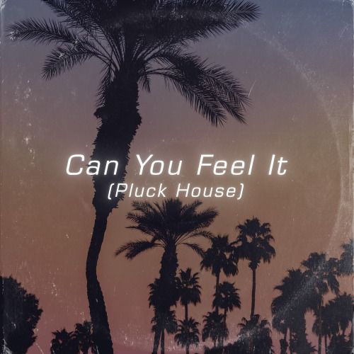 Buy EDM Ghost Production track - Can You Feel It