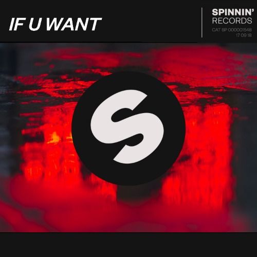 Buy EDM Ghost Production track - If U Want