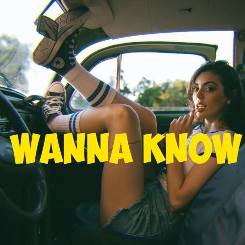 Buy EDM Ghost Production track - Wanna Know