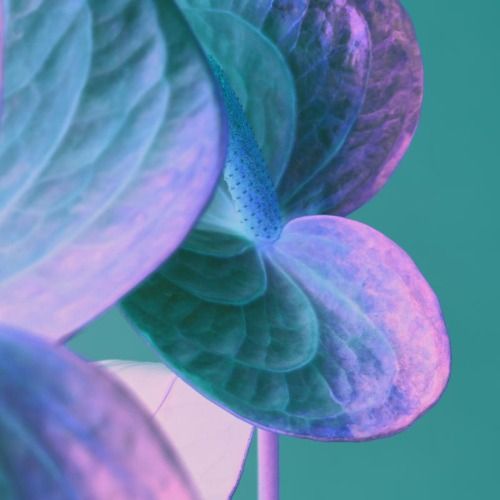 Buy EDM Ghost Production track - Deep Green