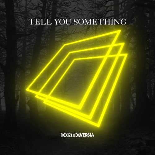 Buy EDM Ghost Production track - Tell You Something