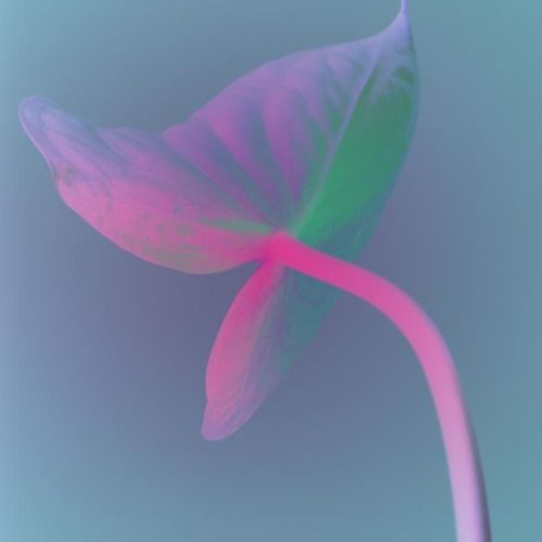 Buy EDM Ghost Production track - Kiosk