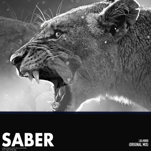 Buy EDM Ghost Production track - Saber