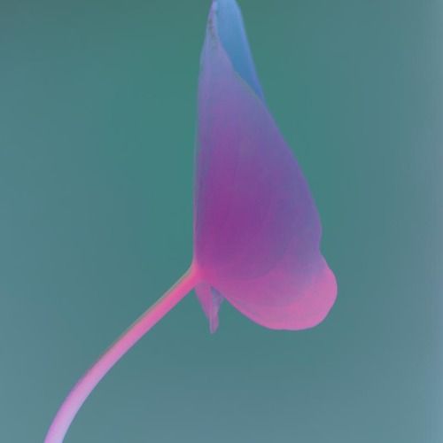 Buy EDM Ghost Production track - Cosme