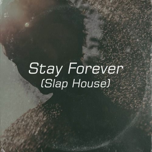 Buy EDM Ghost Production track - Stay Forever