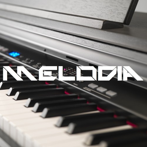 Buy EDM Ghost Production track - Melodia