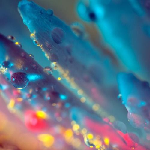 Buy EDM Ghost Production track - Rabbit Run