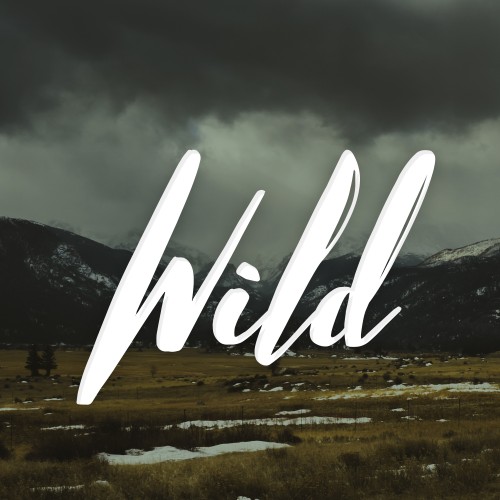 Buy EDM Ghost Production track - Wild