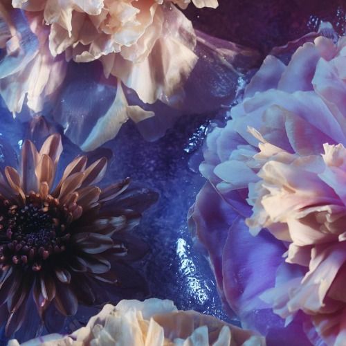 Buy EDM Ghost Production track - Forgotten